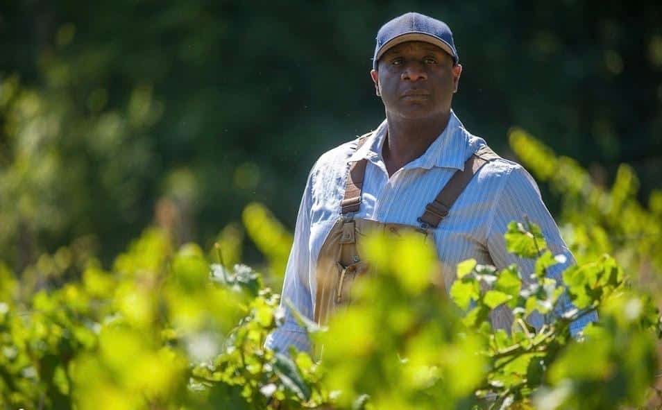 Bertony Faustin winemaker of Abbey Creek Vineyards