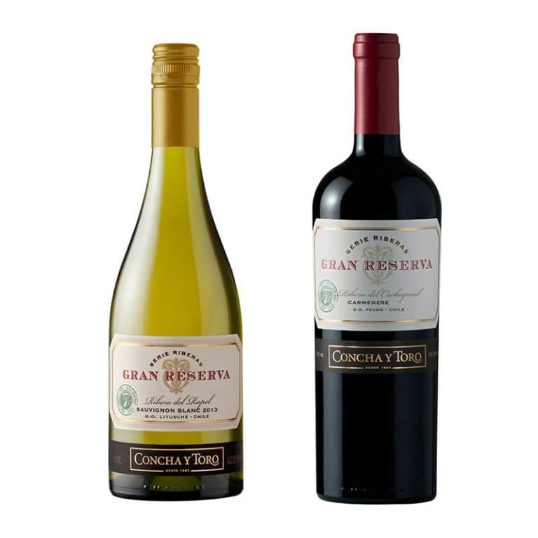 Wines of Chile: Gran Reserva Series