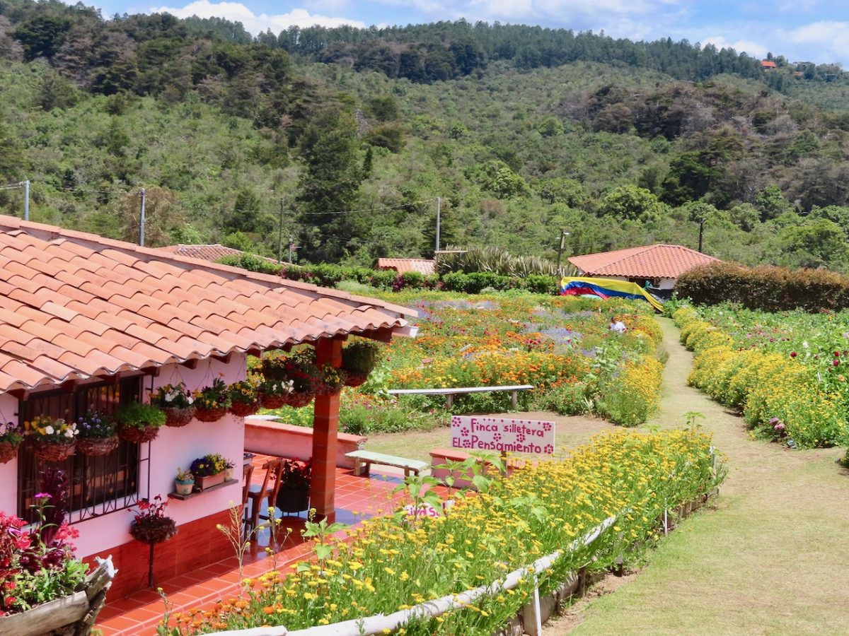 Flower Farm in Santa Elena in Colombia
