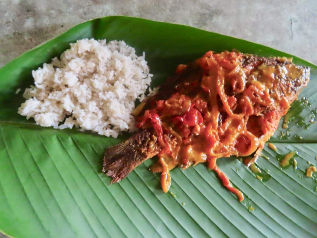 Colombian lunch of whole fish with tomato sauce and rice