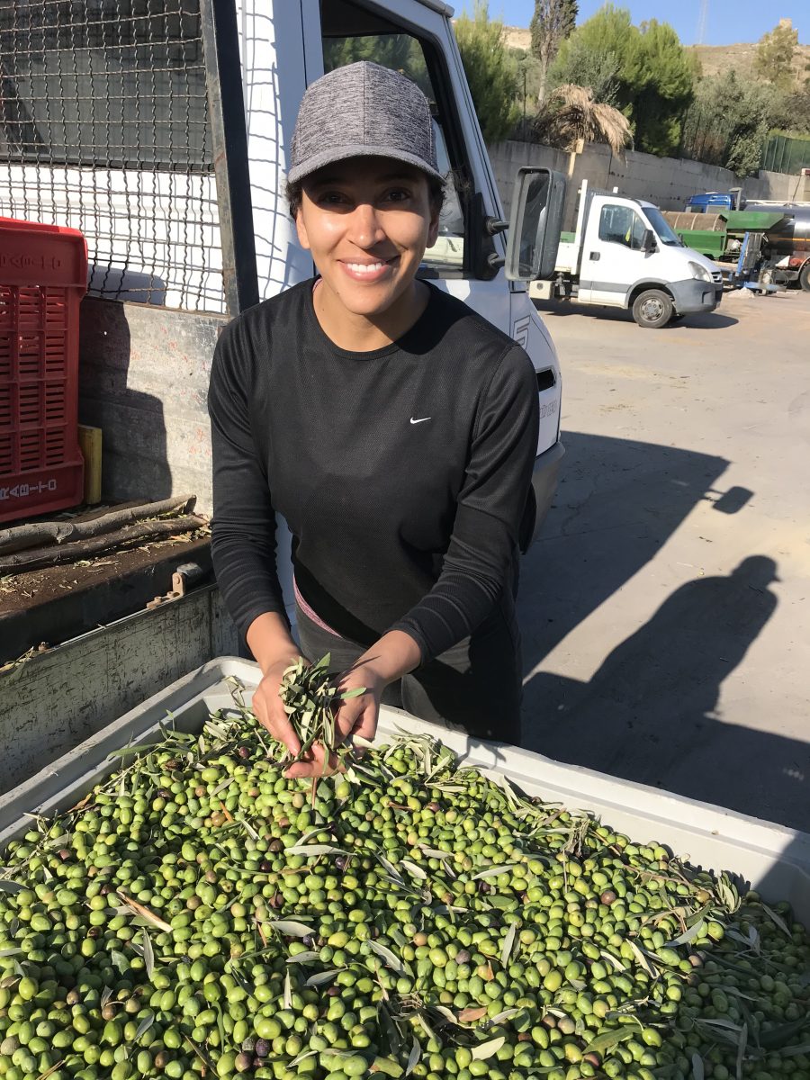 Skyler Mapes at an olive harvest for EXAU
