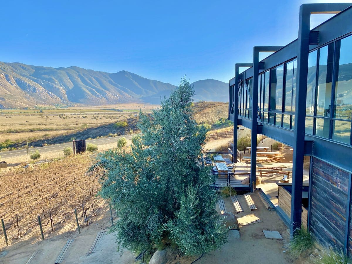 Encuentro Guadalupe winery, Baja