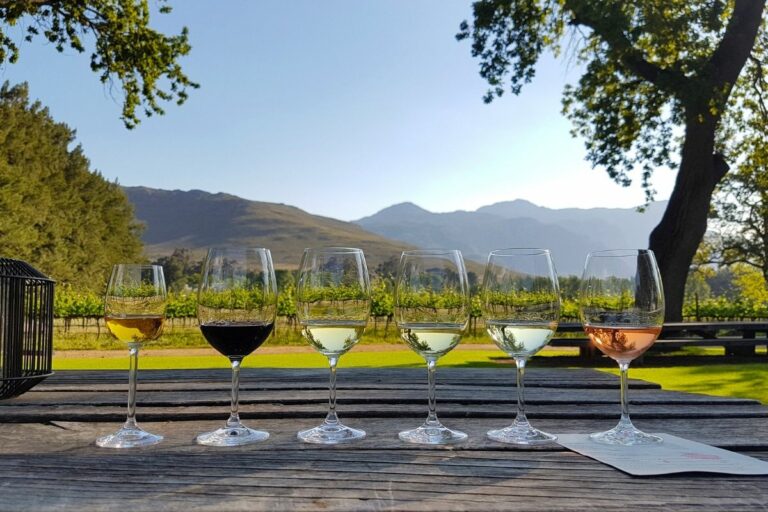 Wine class and underrated wine countries