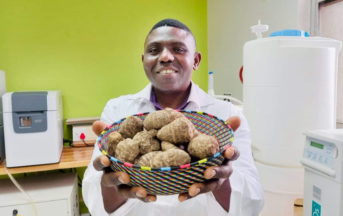 Professor Eric Amonsou holding a basket of the African vegetable amadumbe