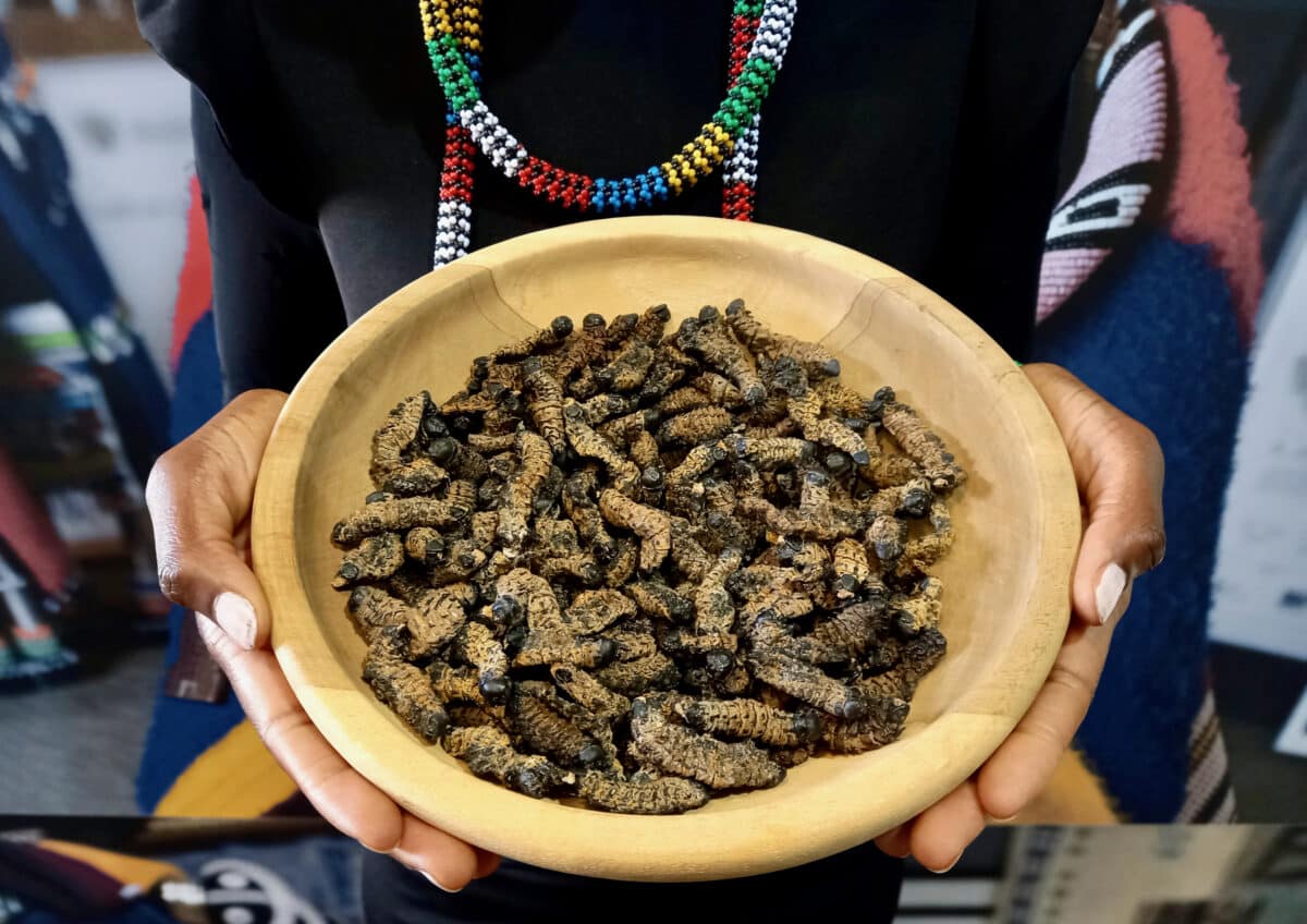 Wendy Vesela-Ntimbani holding a bowl of mopani worms