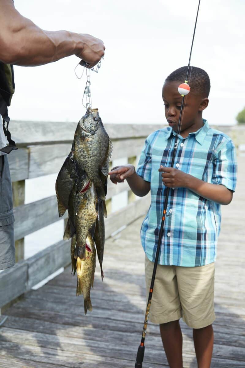 Santee Cooper Country - Young boy fishing