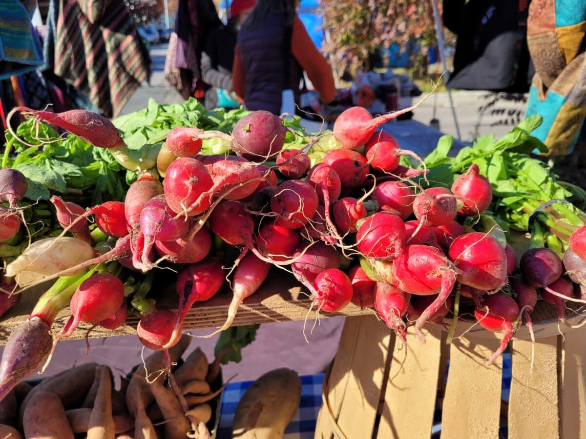 Radishes for sale at the Farm Alliance of Baltimore stand at the 32nd Street Farmers Market 