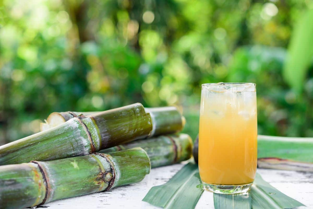 Sugarcane drinks you can make at home